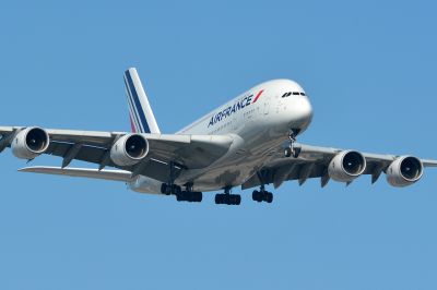 Cliquez pour voir l'image en taille relle