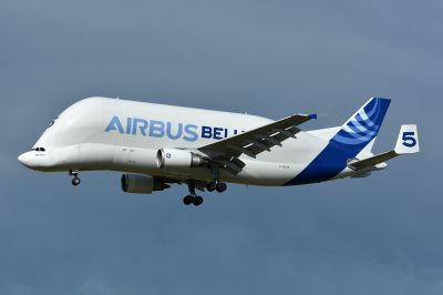 Cliquez pour voir l'image en taille relle