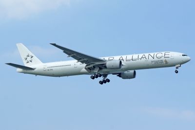 Cliquez pour voir l'image en taille relle