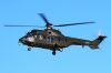 AIHPUMA206.jpg