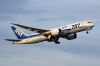 ANA788JA822A~1.jpg