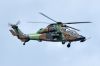 ARMEEDELAIRTIGREBJA3.jpg