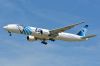 EGYPTAIR773SUGDP34B.jpg