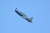 GREEKAFT6TEXAN036B.jpg