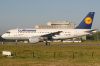 LH319DAILX.jpg