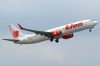 LION7379PKLHR_filtered.jpg