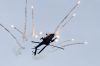 Nom du fichier : RNTHAFAPACHEQ8FLARE3.jpg
Poids du fichier : 220Ko
Dimensions : 1600x1067
Ajouté le : 27 Juin 2016 RNTHAFAPACHEQ8FLARE3.jpg
