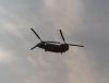 chinook2_filtered.jpg